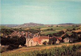 FRANCE - Chavignol (cher) - Vue Générale - Les Vignes Et La Butte De Sancerre  - Carte Postale - Sancerre