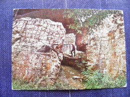 Post Card Poland Gierloz K. Ketrzyna Ketrzyn Overprint Stamp 1zl. - Covers & Documents