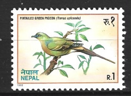 NEPAL. N°501 De 1992. Colombar à Longue Queue. - Pigeons & Columbiformes