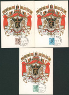 Carte-maximum (CM) - Lion Héraldique N°1958/60 Complet ! - 1971-1980