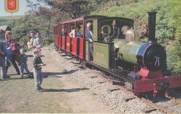 4-GBR03 02 01 - ISLE OF MAN - GROUDLE GLEN RAILWAY - Isola Di Man (dell'uomo)