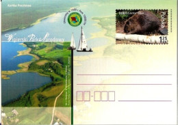 Cp 1359 Poland Wigierski National Park Beaver 2004 - Roedores