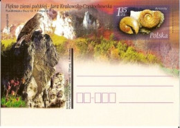 Cp 1431 Poland Jura Krakowsko-Czestochowska Ammonoids Hawk 2007 - Fósiles