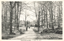 FRANCE - Laneuville Au Bois - Vue Générale De L'allée Du Rêve - Carte Postale Ancienne - Luneville