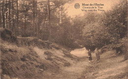 BELGIQUE - Mont De L'Enclus - Chemin De La Tour - Weg Naar Den Toren - Carte Postale Ancienne - Mont-de-l'Enclus