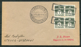 1938 Denmark Copenhagen Landbrugsudstillingen Exhibition Cover - Storia Postale