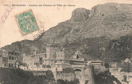 MONACO - Palais Du Prince Et Tête De Chien - Dos Non Divisé - Carte Postale Ancienne - Prinselijk Paleis