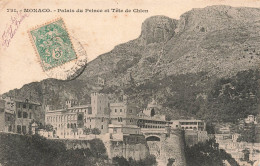 MONACO - Palais Du Prince Et Tête De Chien - Dos Non Divisé - Carte Postale Ancienne - Palais Princier
