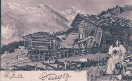 Mürren BE, Chalets D'alpage Et Bernoise En Costume (15.7.1903) - Mürren