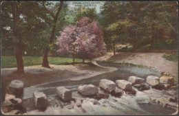 Stepping Stones, Endcliffe Woods, Sheffield, Yorkshire, C.1905 - Postcard - Sheffield