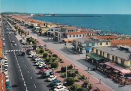 Cartolina Viareggio - Viali E Lungomare - Viareggio