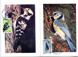 Oiseaux Yvert 232 & 233 - DT 43 - Cartoline Maximum