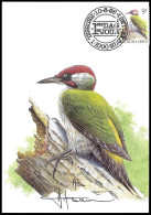 CM/MK° - 2778 - Pic Vert/Groene Specht/Specht/Woodpecker/Picus Viridis - BSL-BXL - 10-08-1998 - BUZIN - SIGNÉ/GETEKEND - Climbing Birds