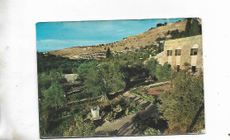 Garden Of Gethsemani Jerusalem - Jordanie