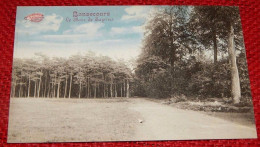BONSECOURS  -   Le Bois De Sapins - Péruwelz