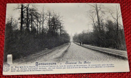 BONSECOURS  -   Avenue Du Bois - Péruwelz