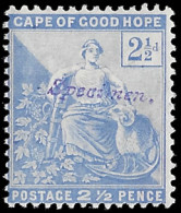 Cape Of Good Hope 1896 2½d Specimen Type SA1, Rare - Cape Of Good Hope (1853-1904)