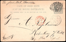 Cape Of Good Hope 1893 Proving Card BONC 630 Groot Drink - Cape Of Good Hope (1853-1904)