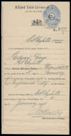 Cape Of Good Hope 1895 Billiard Table License - Kap Der Guten Hoffnung (1853-1904)