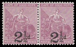 Cape Of Good Hope 1891 2½d On 3d Pair VF/M  - Kaap De Goede Hoop (1853-1904)