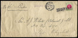 Natal 1905 Paquebot Letter Durban To Port Elizabeth - Natal (1857-1909)