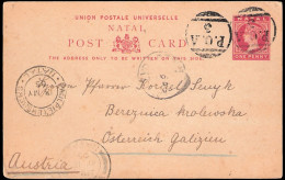 Natal 1905 Sunkels Drift POA 3 On Card To Austria - Natal (1857-1909)