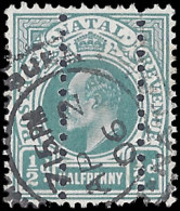 Natal 1904 KEVII Â½d Natal Witness Perfin VF/U - Natal (1857-1909)