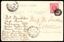 Natal 1905 Cork Cancel On Card - Natal (1857-1909)