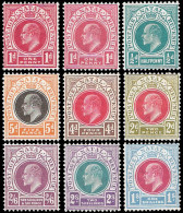 Natal 1904 KEVII Set To 2/6 VF/M  - Natal (1857-1909)