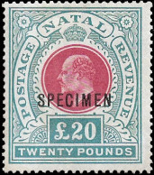 Natal 1902 KEVII £20 Specimen F/M High Value - Natal (1857-1909)