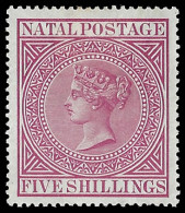 Natal 1899 QV 5/- Carmine F-VF/M - Natal (1857-1909)