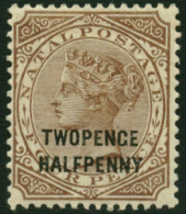 Natal 1890 QV 2½d On 4d Twopenge Variety VF/M  - Natal (1857-1909)