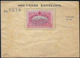 South Africa 1918 Flights Souvenir Envelope With Our Day Label - Aéreo