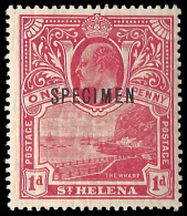 Saint Helena 1911 KEVII Unissued 1d Red Specimen VF/M - Sainte-Hélène