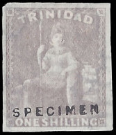 Trinidad 1863 1/- Imperf, Wmk Reversed De La Rue File Specimen - Trinidad & Tobago (...-1961)