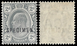 Transvaal 1909 2d Grey Unissued Specimen - Transvaal (1870-1909)