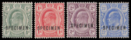 Transvaal 1905 KEVII ½d - 2½d Specimen Set - Transvaal (1870-1909)