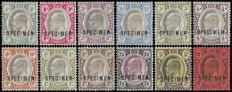 Transvaal 1902 KEVII ½d - 10/- Full Set Ovptd Specimen - Transvaal (1870-1909)