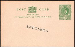 Swaziland 1938 KGVI ½d Postcard Specimen - Swasiland (...-1967)
