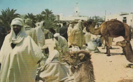 EL OUED, LE SOUK AUX CHAMEAUX COULEUR   REF 13560 - El-Oued