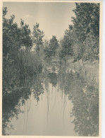 Photo Paysage, Rivière Et Sous Bois , Format 18/24 - Anonymous Persons