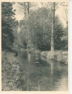 Photo Paysage, Rivière Et Sous Bois , Format 18/24 - Anonymous Persons