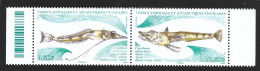 TAAF 2024 - Yv N° 1075 & 1076 ** - Diptyque - Faune Marine (Poissons Des Glaces à Longs Doigts) - Unused Stamps