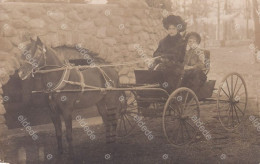 Real Photo Horse Cart In USA  Used From New York  To Hotel Beauséjour Long Island Caleche Cheval - Taxi & Fiacre