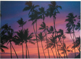Etats Unis - Hawaï - Honolulu - Waikiki - Dreamy Hawaiian Sunset - The Dreamy Tropical Sky Foretells The Coming Of A Rom - Honolulu