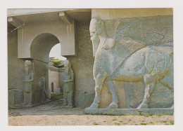 IRAQ Irak Nimrud-Kalhu-883 BC Ruins, View Vintage Photo Postcard RPPc (67939) - Irak
