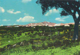 Cartolina Grassano ( Matera ) - Panorama - Matera