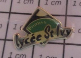 415c Pin's Pins / Beau Et Rare / ADMINISTRATIONS / LYCEE ST IVY PONTIVY - Administraties