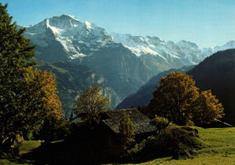 Suisse Bern Berne Lauterbrunnen Sulwand Ob Bei Isenflyh Jungfrau Ebnefluth Mittaghorn Grosshorn Breithorm Nature Paysage - Lauterbrunnen