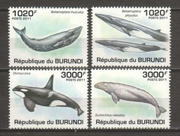 Burundi 2011 Mi 2038-2041 MNH WHALES - Wale